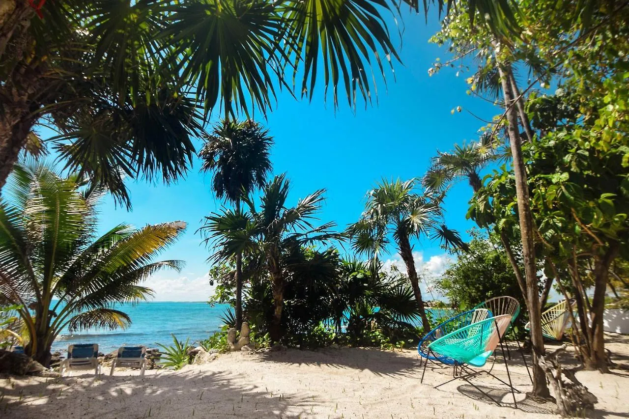La Maison Manati, Beachfront, Infinity Pool, Cooking Service Included Otel Tulum 0*,  Meksika
