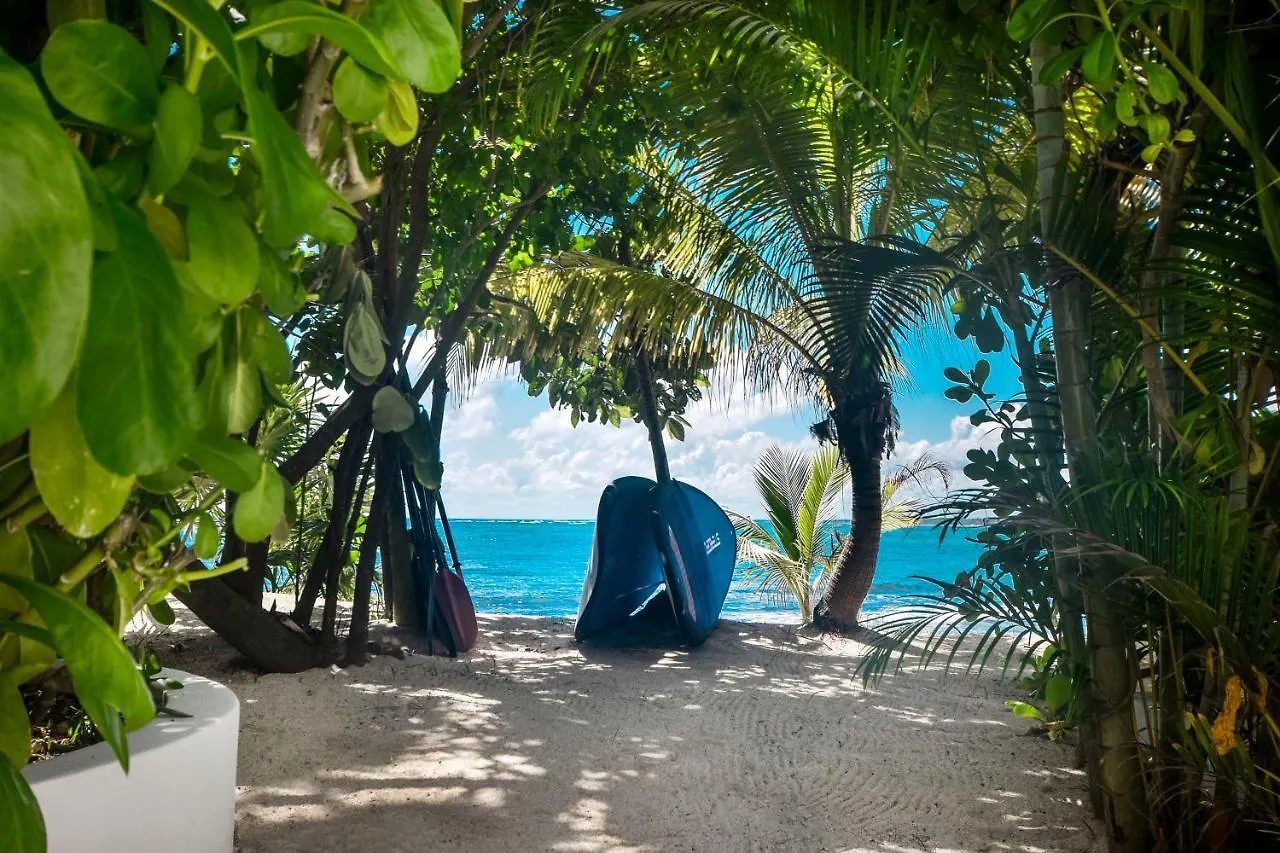 La Maison Manati, Beachfront, Infinity Pool, Cooking Service Included Otel Tulum